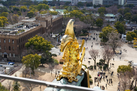 京都与奈良：一日游亮点之旅，专属私人轿车服务京都与奈良：一日游精华行程，专属私人轿车服务