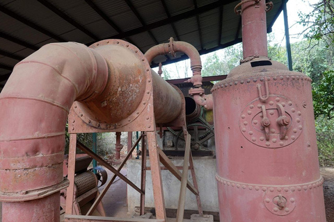 Nairobi :Karen Blixen Museum & Giraffe Centre Day Tour