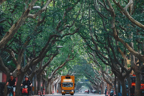 From Shanghai: 7-Day Tour to Huangshan, Hangzhou & Wuzhen