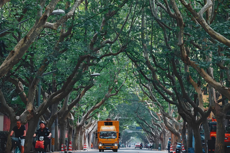 From Shanghai: 7-Day Tour to Huangshan, Hangzhou & Wuzhen