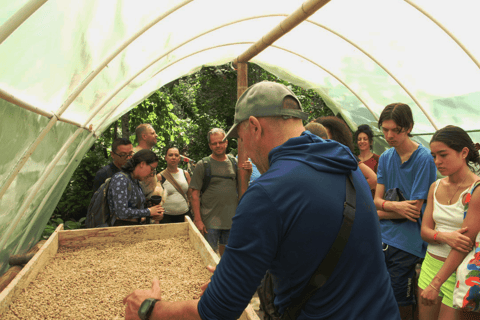 Minca: Coffee Farm, Jungle Hike & Chocolate Workshop Minca: Full Day Minca Tour with Jungle Joe