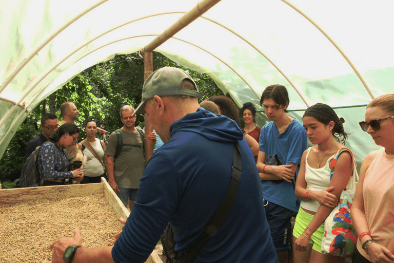 Minca: Coffee Farm, Jungle Hike & Chocolate Workshop Minca: Full Day Minca Tour with Jungle Joe