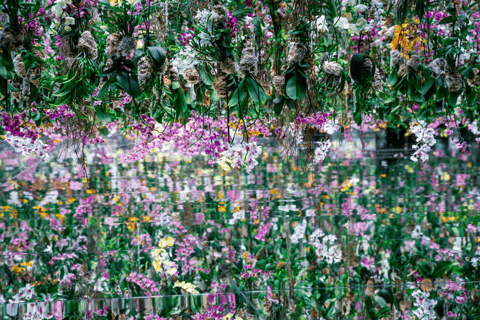 Tokyo: TeamLab Borderless & Imperial Palace History Tour