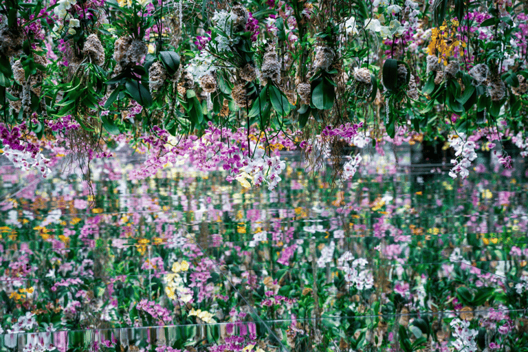 Tokyo: TeamLab Borderless & Imperial Palace History Tour