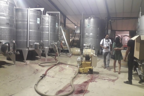 Stellenbosch : Excursion d'une demi-journée à la découverte des vins
