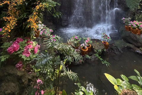 Guangzhou: Pass to the South China Botanical Garden and Greenhouses