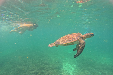 Muscat: Daymaniyat Islands Boat & Snorkel Trip