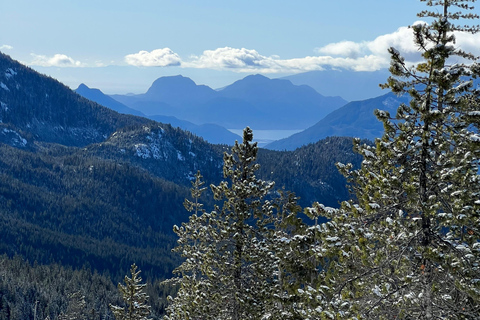 Schneeschuhwandern an der Spitze der Sea to Sky Gondel