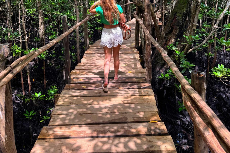 زنجبار: جولة كاياك بيئية في غابات المانغروف