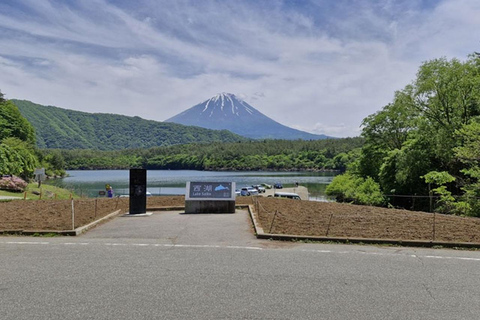 Fuji: kultur, skog och utsikt – privat skräddarsydd turFuji-kultur, skog och naturskön utsikt: Privat skräddarsydd tur