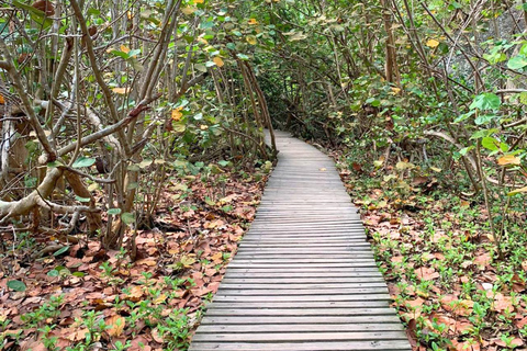 From Santa Marta: Tayrona National Park Guided Hike