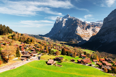 Scenic flexible and private car trip: Lucerne to Grindelwald