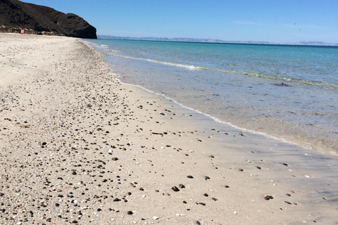 Mangroves & Beaches: Hiking Tour of Balandra, La Paz