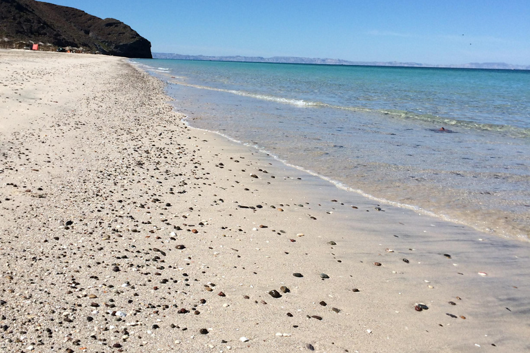 Mangroves & Beaches: Hiking Tour of Balandra, La Paz