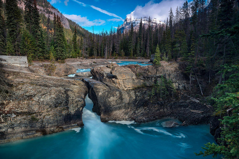 Lake Louise, Moraine Lake, Emerald - Banff, Canmore, Calgary 7:45 Delta Downtown Calgary Pickup