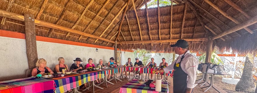 Danse, salsa et tequila avec transfert