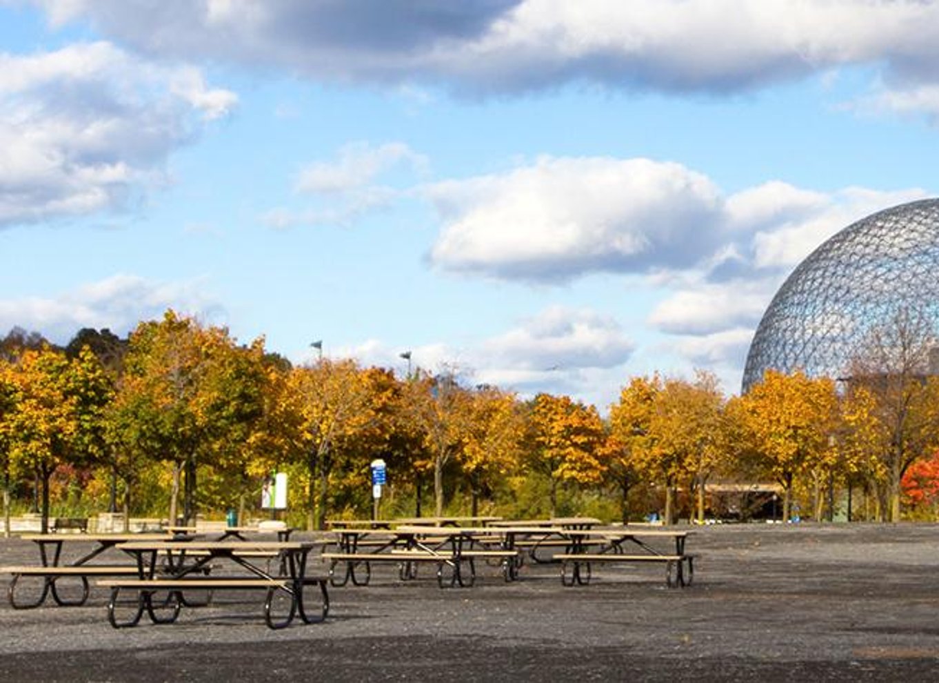 Montreal: Guidet byrundvisning på en halvdagstur