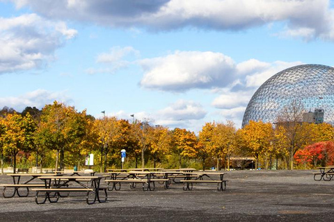 Montreal: Guidad stadsvandring på halvdagen