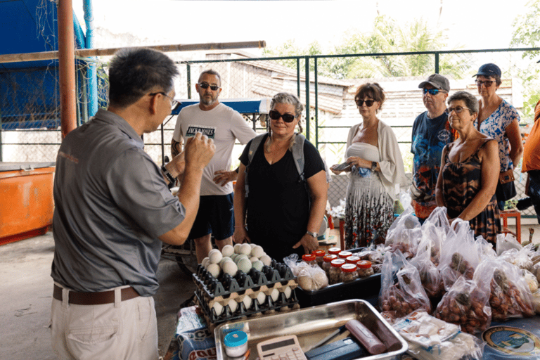 Khao Lak: Kleine Amazonas-Kanutour &amp; Altstadttour mit MittagessenKhao Lak: Kleine Amazonas-Kanufahrt &amp; Tour durch die Altstadt mit Mittagessen