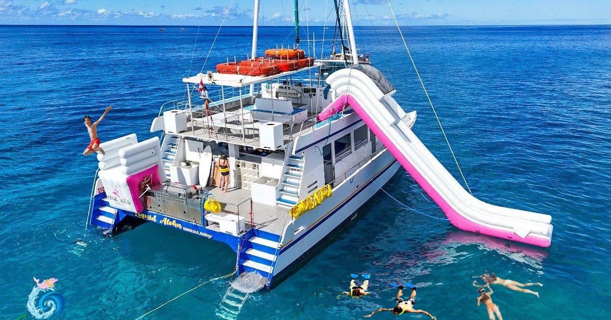 Waikiki: Snorkeling & Ocean Playground Experience | GetYourGuide