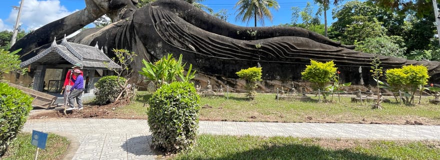 Vientiane : visite d'une demi-journée de la ville avec le Patuxai et le parc des Bouddhas