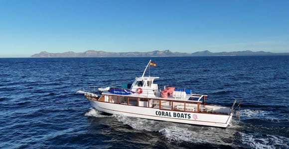 Alcudia: Privater Bootscharter für Gruppen mit Schnorcheln & SUP