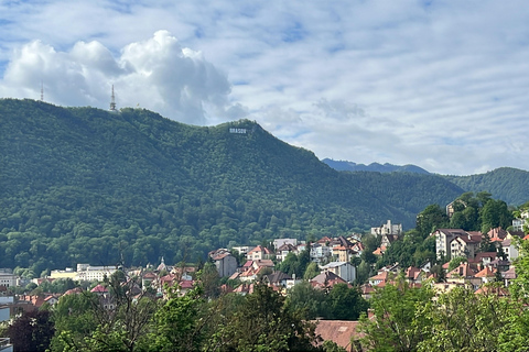 Brașov Bear Sanctuary Tour, Private group with Entry Ticket