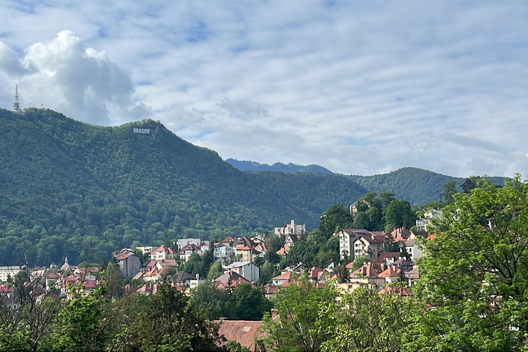 Brașov Bear Sanctuary Tour, Private group with Entry Ticket