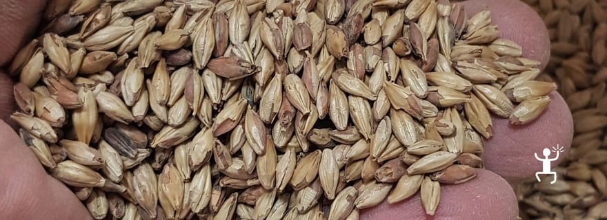 Bénévent : visite et dégustation dans une brasserie à Apollosa