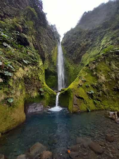 Bajos Del Toro Excursi N En Cascada Por Un Ca N Del Po S Getyourguide