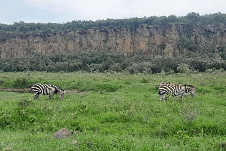 Excursión de un día al Monte Longonot desde Nairobi