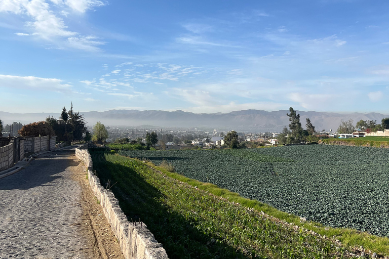 Arequipa: Running Tour with a Local Guide