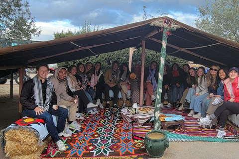 Hammamet: Camel Ride, Lunch, and Quad Biking Tour