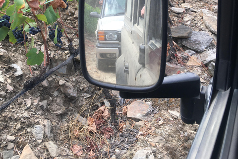 Porto to Douro Valley Private tour in a 4x4 like a native Privat tour Offroad Douro Valley