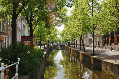 Excursão a pé diária por Roterdã e Delft