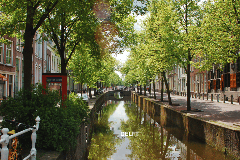 Visite à pied quotidienne de Rotterdam et Delft