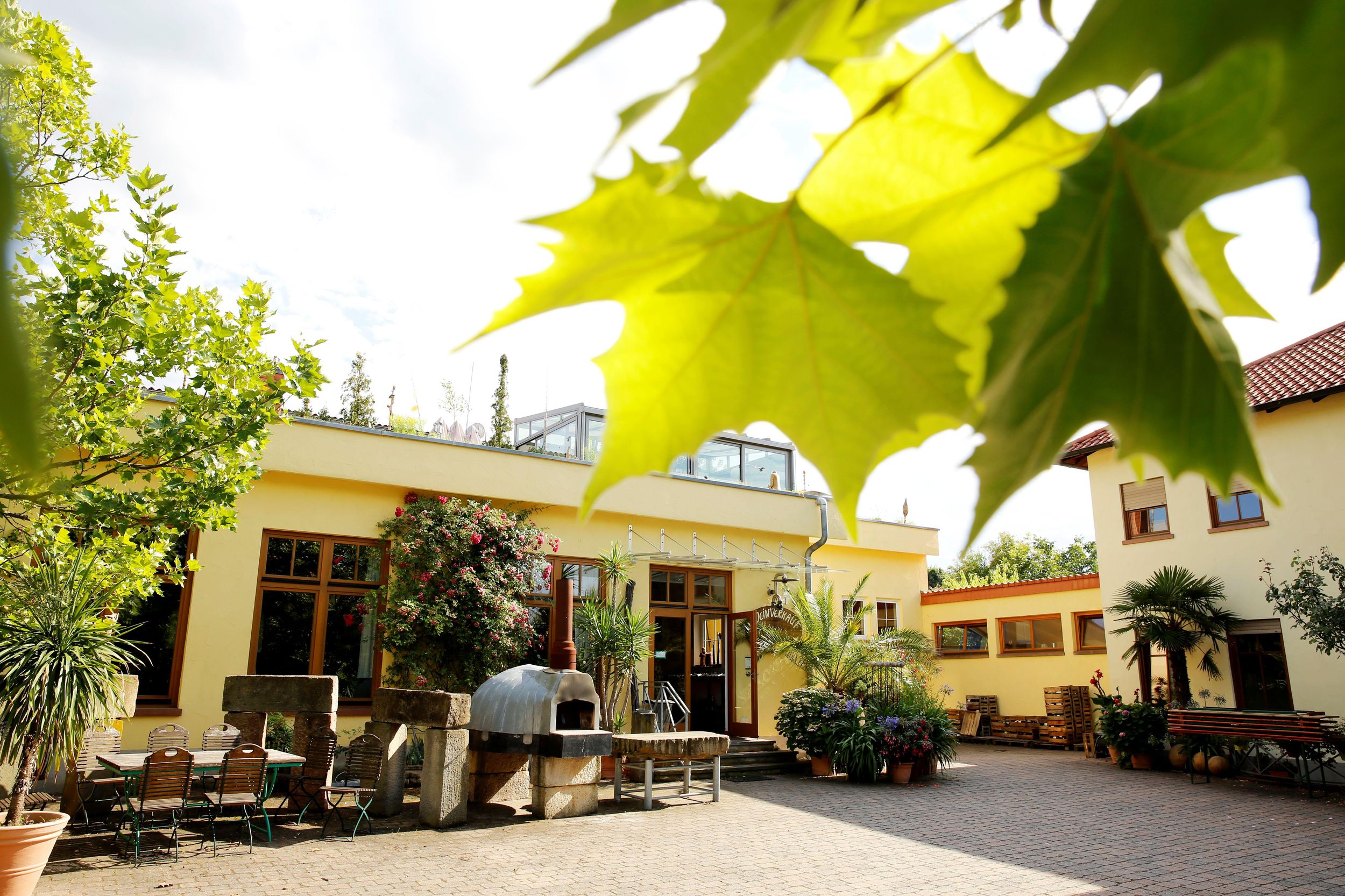 Bad Dürkheim: Weinprobe mit Führung im Weingut Mesel (Pfalz)