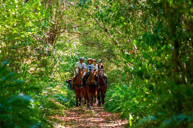 Punta Cana: Horseback Ride and Swim with Hotel Pickup