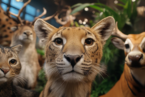 Museum of Zoology Sao Paulo Private Guided Tour & Transport 2-hour: Museum of Zoology Tour
