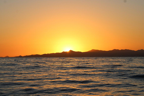 San Jose del Cabo Sunset Whale Watching