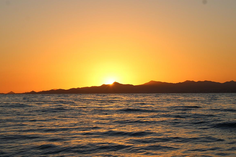 San Jose del Cabo Sunset Whale Watching