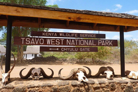 5days Tour Tsavo East & west,Amboseli from Mombasa / Nairobi