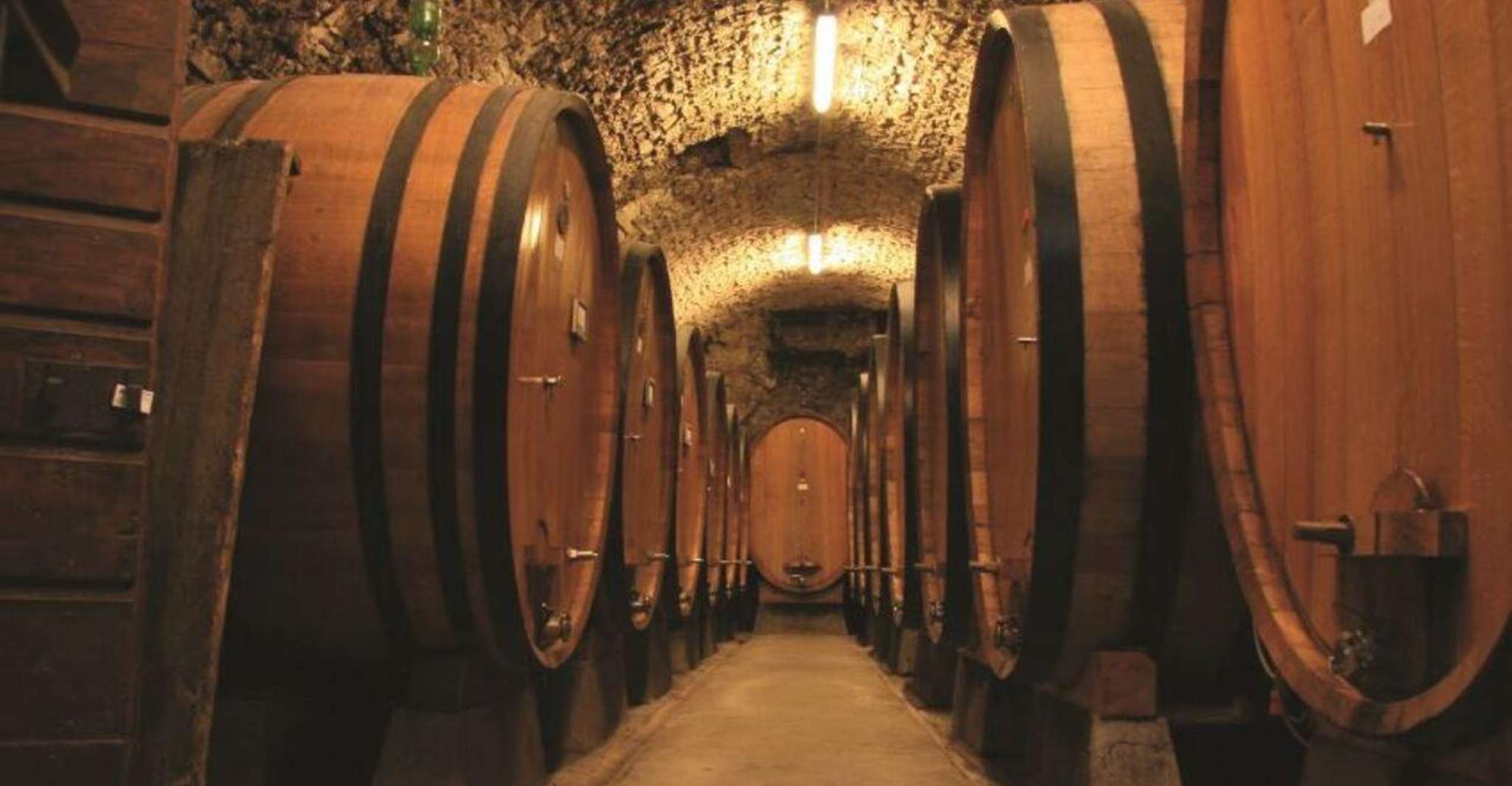 Florence: Chianti Vineyards Tour with Wine Tasting & Dinner photo 20