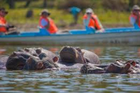 Safari de 8 días a Amboseli, Naivasha, Nakuru y Maasai Mara