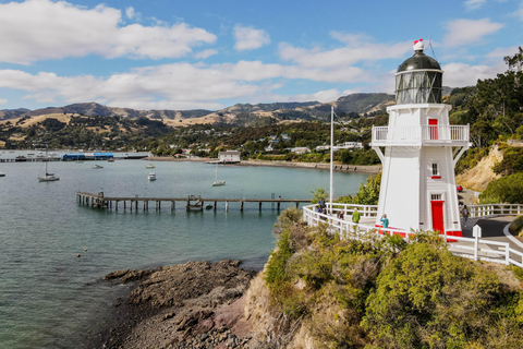 From Christchurch: Akaroa Day Tour with Nature Cruise