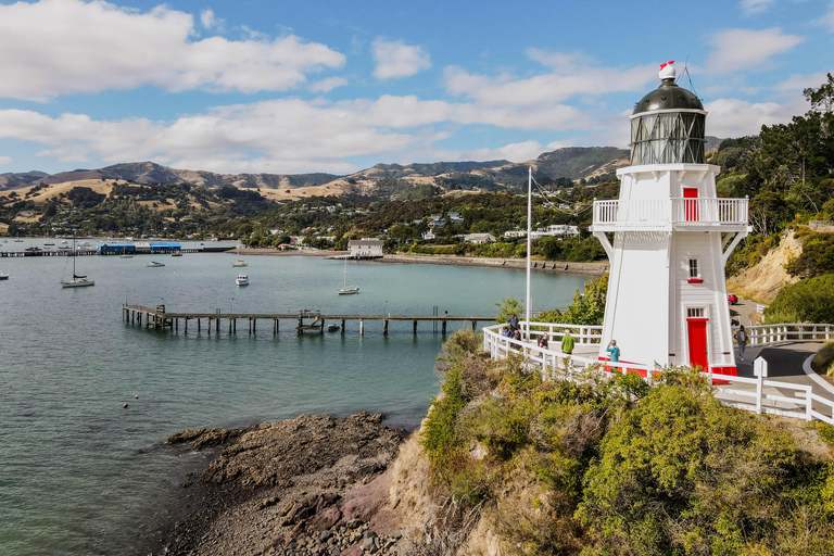 From Christchurch: Akaroa Day Tour with Nature Cruise
