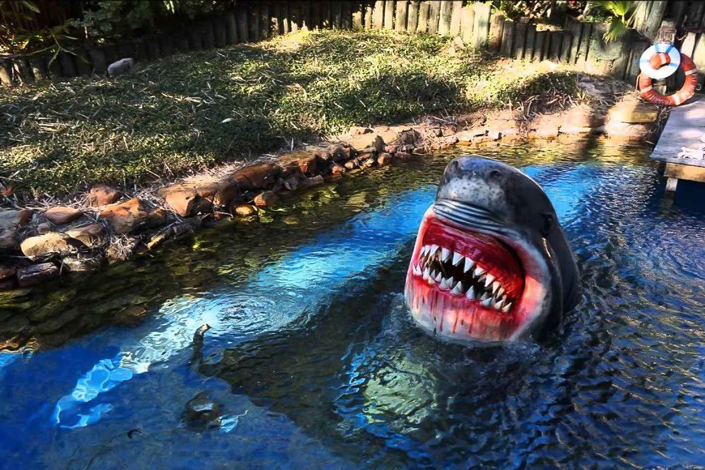 Houston Tour and Aquarium Ticket - Houston Tour and Aquarium Ticket