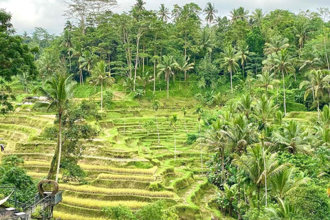 Bali: Ubud Swing, Rice Terrace & Temple Private Day Tour