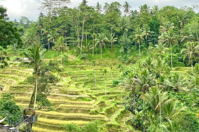 Bali: Ubud Swing, Rice Terrace & Temple Private Day Tour