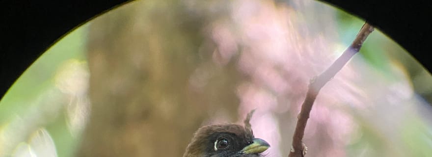 Visites de la réserve Curi Cancha